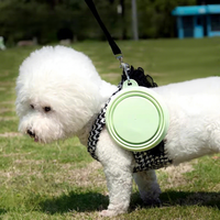 Bol pliable et portable pour animaux de compagnie en plastique TPE recyclé, écologique, automatique, pour chiens, chats, petits animaux, voyages en plein air