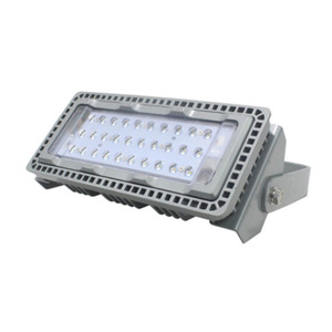 LED Floodlight EF8202 50W 220V 50Hz 50000H Lifespan Outdoor <b>Lighting</b> - Product Image 2