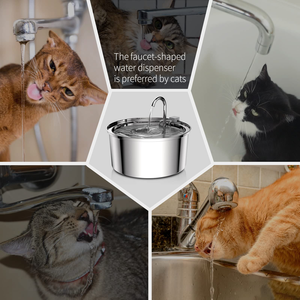 Fuente de agua automática para gatos con <span class=keywords><strong>grifo</strong></span>, dispensador para perros, <span class=keywords><strong>bebedero</strong></span> de filtro transparente, comedero para mascotas de acero inoxidable - Product Image 5
