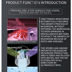 Nấm hệ thống nông nghiệp 20/40ft nấm phát triển container - Product Image 3