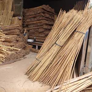 Piquets en bambou naturel pour l'agriculture, piquets de jardin écologiques en bambou pour le soutien des plantes, canne de Tonkin pour pépinière - Product Image 3