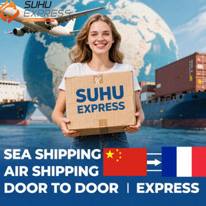 Fret aérien compétitif et économique DDP Chine vers des destinations mondiales via UPS/DHL Express Shipping Agent FBA avec support 24/7 - Product Image 2