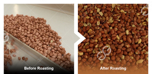 Equipo para Tostar Nueces Gelgoog, Máquina para Tostar Nueces de Macadamia, Semillas de Girasol, Cacahuetes, Sudáfrica - Product Image 5