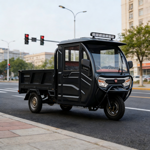 Triciclo Cerrado de Tres Ruedas con Capacidad de Carga de 400 kg, Motor de 60 V, Capacidad para 2 Pasajeros, Certificado por la CEE, 30-50 km/h, Autonomía de 50-70 km - Product Image 3
