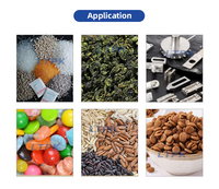 Machine d'emballage de granulés en sachets préformés LT-SP160K pour noix, haricots, graines, fruits secs, sel, arachides, céréales, engrais, extrait de poulet