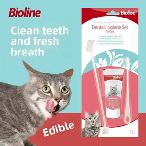 Juego <span class=keywords><strong>de</strong></span> Cepillos <span class=keywords><strong>de</strong></span> Dientes para Gatos al por Mayor <span class=keywords><strong>de</strong></span> Fábrica con Pasta Dental Comestible Antibacteriana para un <span class=keywords><strong>Aliento</strong></span> Fresco y Dientes Blancos, Limpieza Bucal - Product Image 1