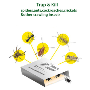 Trampas desechables no tóxicas para pegamento de cucarachas, insectos, hormigas, cucarachas, insectos, prisión, Control de plagas, asesino para <span class=keywords><strong>moscas</strong></span> y cucarachas - Product Image 2