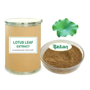 High Quality Bulk Selling Pure Natural Organic Weight Loss Nuciferin Lotus Leaf Extract Powder 1% 2% 3% 4%10% 98% Nuciferine