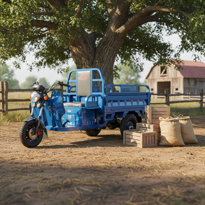 Tricycles 3Plus EEC 1000W pour adultes, étanches, vitesse 30-50 km/h, charge utile 600 kg, véhicule à trois roues, moteur haute puissance 1000W. - Product Image 3