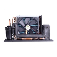 HVAC pièces solaire dc 24v 600w petit onduleur de réfrigération unité de refroidissement liquide pour PC CPU refroidissement