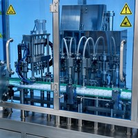 Machine de remplissage électrique entièrement automatique certifiée GMP avec moteur pour poudres et liquides en petites fioles Garantie 1 an