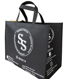 Sac à chaussures en tissu non tissé ultrasonique sur mesure, anti-poussière, anti-humidité, recyclable, avec lamination PP, sac de rangement et de shopping - Product Image 1