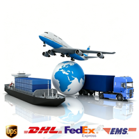 Agent professionnel de dédouanement pour l'expédition aérienne Chine-Europe DDP