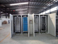 Incubateur d'œufs pour pigeon, oie, poulet, caille, canard - Machine à couver les œufs à vendre