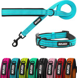 Ensemble laisse et collier pour chien Azuza en nylon réfléchissant rembourré, durable, extra sûr et confortable pour les petits animaux - Product Image 1