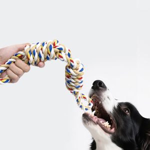 CE sertifikalı köpek diş temizleme halat oyuncak 2 halat knot interaktif Bite dayanıklı köpek oyuncaklar pamuk halat köpek çiğnemek oyuncak köpek için - Product Image 2