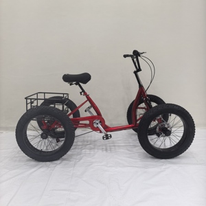 2025 terza bicicletta a 4 ruote con quattro bici da neve a pedali grassi aggiornata Quad può equipaggiare tutti i motori elettrici centrali - Product Image 2