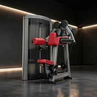 Máquina Comercial de Elevación Lateral con Pesas para Gimnasio, Equipo de Entrenamiento de Hombros y Deltoides