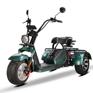 Moto électrique à trois roues de style Harley pour adultes, haute performance, rapport coût-performance élevé, performance stable, 60V 2000-4000W - Product Image 4