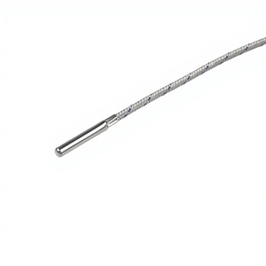 مستشعر حراري من الفولاذ المقاوم للصدأ عالي الحرارة بسلكين Pt1000 مستشعرات RTD صغيرة Pt100 قابلة للتخصيص حسب الطلب XRKC للأوتوكلاف - Product Image 2