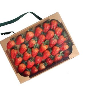 IMEE logotipo personalizado impreso bandeja <span class=keywords><strong>de</strong></span> embalaje decorativa verduras cereza fresa tomate embalaje caja <span class=keywords><strong>de</strong></span> frutas con tapa transparente - Product Image 1