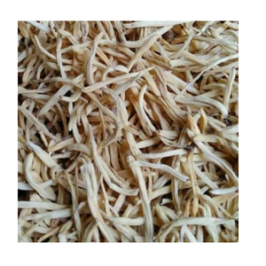 รากชาตะวารีแห้งสีขาวคัดพิเศษสำหรับการผลิตอาหาร การปรุงอาหาร และขายส่ง - Product Image 4