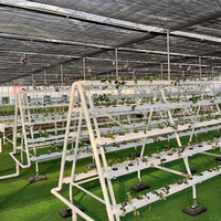 Systèmes de culture hydroponique NFT personnalisables pour plantes commerciales, type A, avec tuyaux galvanisés et PVC-U, système de canaux NFT