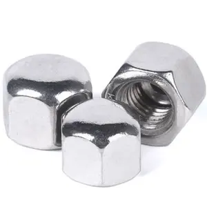 High Strength Fasteners Hexagon Dome Nuts Hexagon Acorn Nuts DIN917 Finish ZP Galvanized Color M16 M24