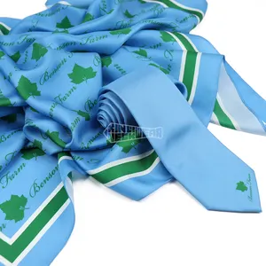 Sky Blue Corporate Tie Custom Printed Neck Ties For Men Twill Silk Scarf Gift Set Necktie Logo