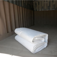 Flexi-Tank Flexitank Flexi-Bag de qualité alimentaire 24000l 25000l pour liquides en vrac dans un conteneur de 20 pieds/40 pieds