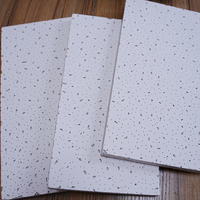 Fabricant OEM/ODM de plaques de plâtre standard pour plafond, plaques de plâtre pour plafond