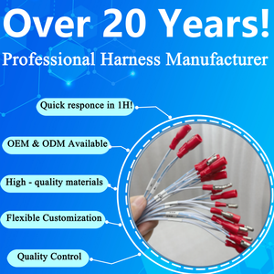 Harnais de câblage personnalisé en cuivre isolé en PVC 300V, assemblage ODM OEM, fiche à broche F1.25, AWG22, 310 mm pour machine électronique - Product Image 6