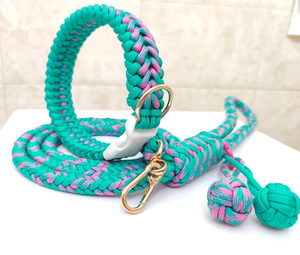 Conjunto de entrenamiento de perro con hebilla de Metal personalizado de lujo patrón sólido poliéster nailon impermeable elegante collar para mascotas Correa separable moderna - Product Image 1