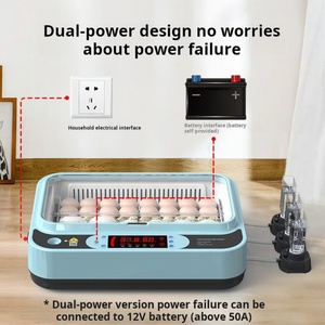 2025 Factory Direct Hofujng New Design Mini <b>Egg</b> <b>Incubator</b> Digital Temperature Control Automatic 64 <b>Eggs</b> 110V-240V - Product Image 5