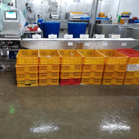 Qualité standard Poids de la bande transporteuse et trieuse pour filets de poisson traitement