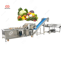 Industriële professionele groente- en mango-fruitwasser met PLC en motor, commercieel gebruik, voedselverwerkings-, was- en polijstmachine