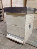 Robuster Zedernholz-Dadant-Bienenstock, 10-Rahmen Standard, Korrosions- und Mottenschutz, Individuelles Logo, Großhandelslieferung auf Lager