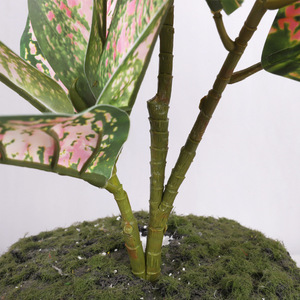 Hojas de Pothos Coloridas Qihao, Plantas Artificiales de Alta Simulación para Decoración de Interiores - Product Image 5