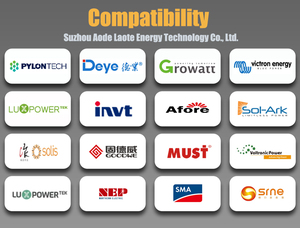 Жилой 51,2 В 314AH <span class=keywords><strong>LiFePO4</strong></span> 16,08 кВтч PACE BMS встроенный в 12000 время цикла Солнечный литиевый шкаф - Product Image 5