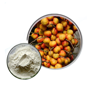 パルメット抽出物粉末脂肪酸 - Product Image 2
