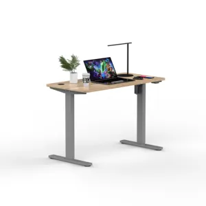 מותאם אישית חשמלי גובה מתכוונן שולחן הרמה ריהוט חכם משרד מחשב שולחן הרמה