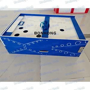 Bonhong - <span class=keywords><strong>Jeu</strong></span> de <span class=keywords><strong>Plinko</strong></span> de qualité supérieure pour la location, idéal pour les événements et les fêtes - Product Image 4