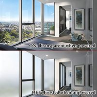 Película Inteligente PDLC Autoadhesiva, Ajustable, Eléctrica, para Tinte de Ventanas, Decorativa y Moderna, para Vidrio Arquitectónico