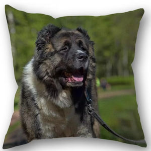 Personnalisé Caucasien Berger <span class=keywords><strong>Chien</strong></span> Taie D'oreiller Coton Lin Tissu Carré Fermeture Éclair Taie D'oreiller 45X45cm De Mariage Décoratif Taie D'oreiller - Product Image 5