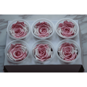 Fornitura diretta in fabbrica di Rose arcobaleno conservate Boutique di grado 5-6cm di Rose fresche belle piante di fiori conservati utilizzo della parete - Product Image 2