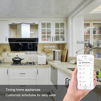 Enchufe Inteligente Cozylife OEM del Fabricante, WiFi/Zigbee/ Pantalla de <2 Pulgadas, 16A, Módulo ESP8266/ESP32, Compatible con HomeKit, Enchufe Europeo