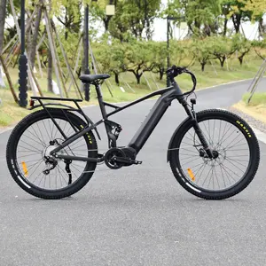 Aluminum alloy 7 speed bike for adults electrical vintage ELECTRIC BIKE 1000W bicycle 750w Electric bike