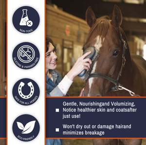 Petfit Bán Buôn Ngựa Dầu Gội Điều Hòa Cho Ngựa Tóc Làm Sạch Với Nuôi Dưỡng Hương Thơm Dầu Gội Đầu Cho Ngựa Sản Phẩm Chăm Sóc - Product Image 4
