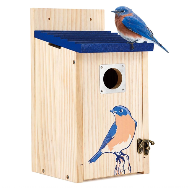 Hot Selling Wooden Bird House Outside Bluebird Nesting Box for Finch Swallow Wren Chickadee