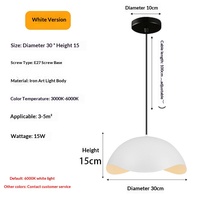 Lustre en Coquille de Fer pour Restaurant et Magasin, Design Minimaliste Moderne, Lumière LED, Installation Double Usage